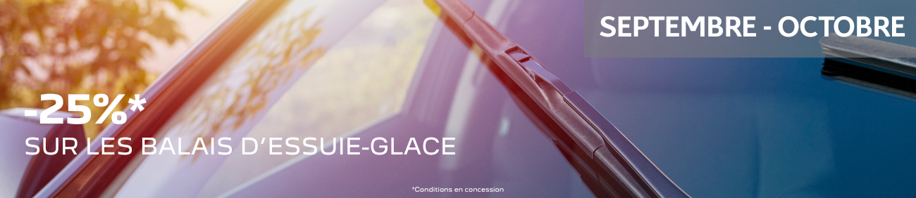 Promotion Balais d'essuie glace