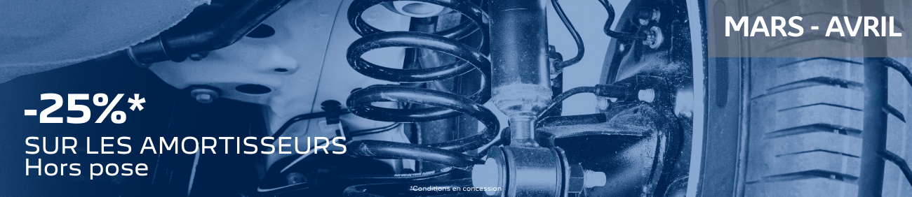 Amortisseur (5) Amortisseur (5)